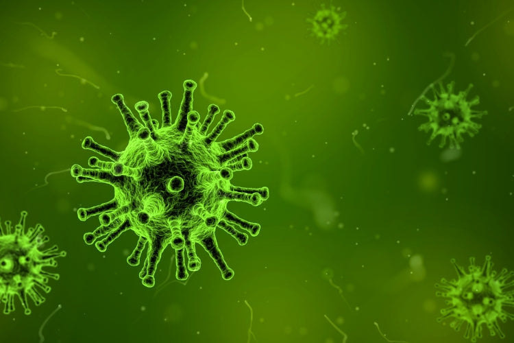 Infection