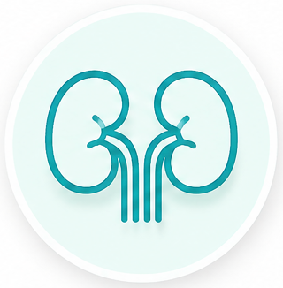 Kidney Health